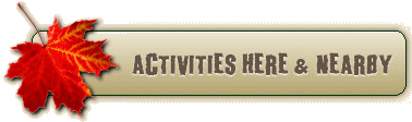 See activities you can do here and nearby